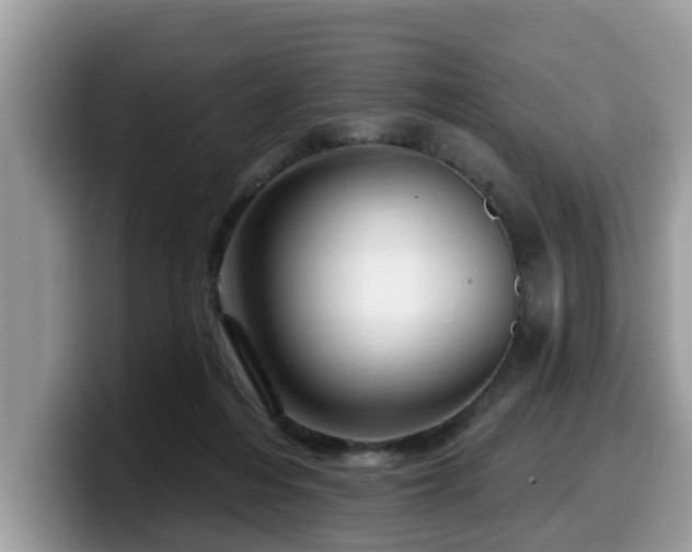 X0000099960216200805301320