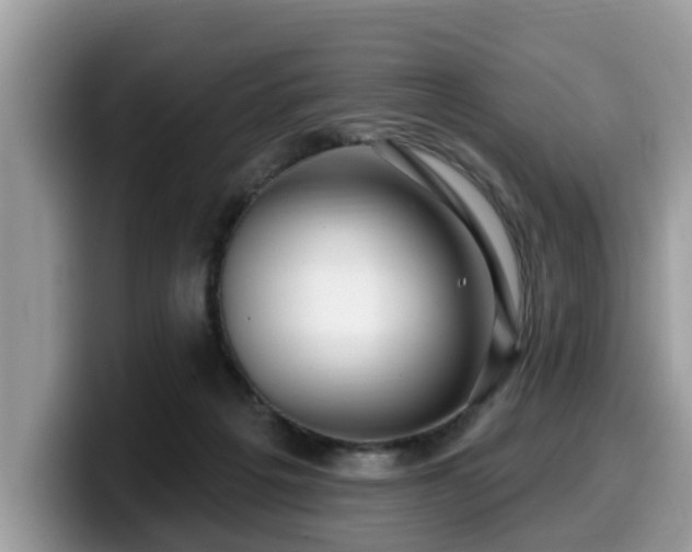 X0000099960217200805301320