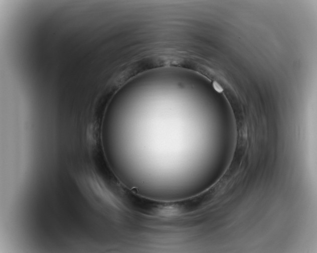 X0000099960218200805301320