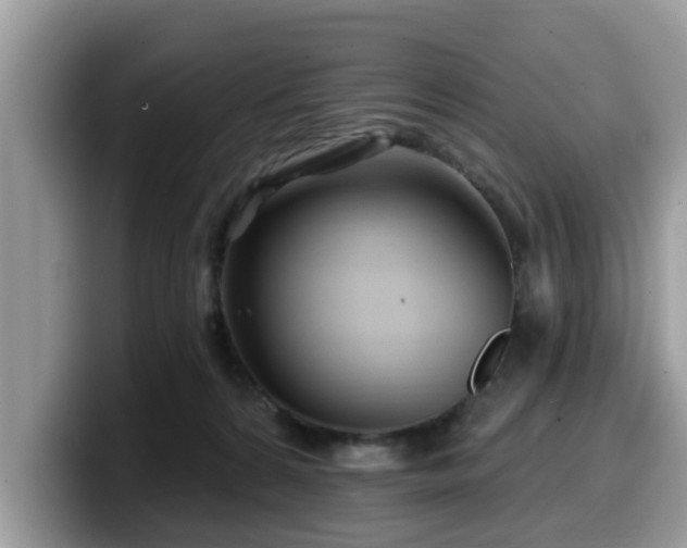 X0000099960224200805301320