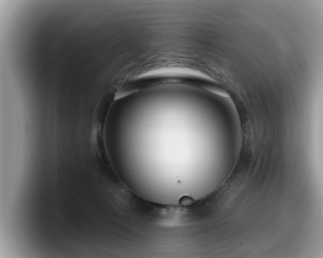 X0000099960225200805301320