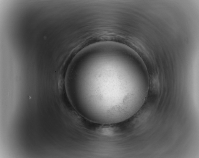 X0000099960228200805301320