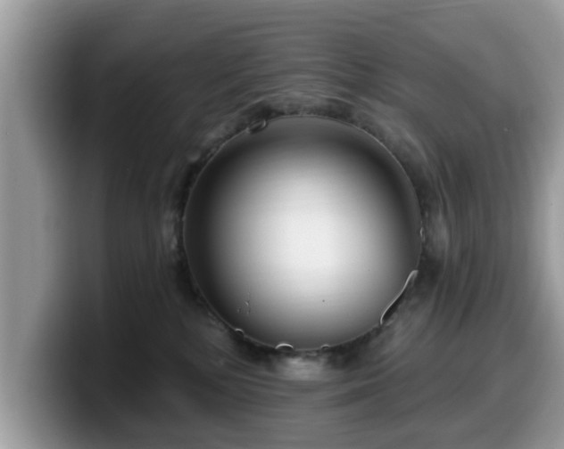 X0000099960232200805301320