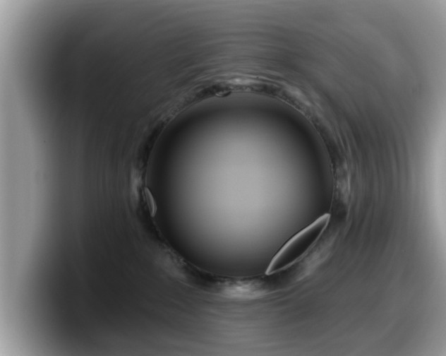 X0000099960235200805301320