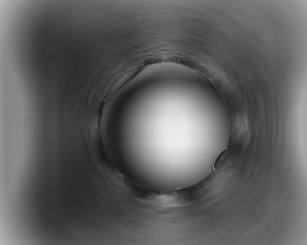X0000099960236200805301320