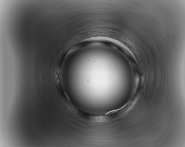 X0000099960237200805301320