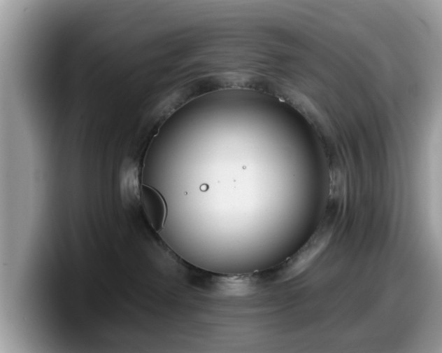 X0000099960238200805301320