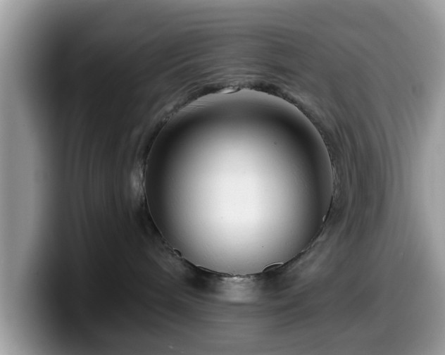 X0000099960240200805301320