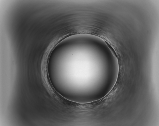 X0000099960241200805301319