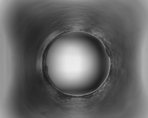 X0000099960242200805301319