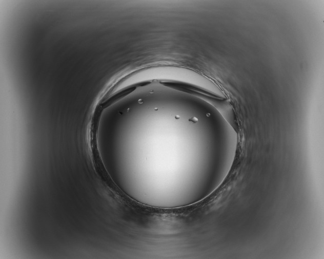 X0000099960244200805301319
