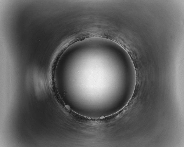 X0000099960245200805301319
