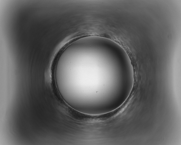 X0000099960246200805301319