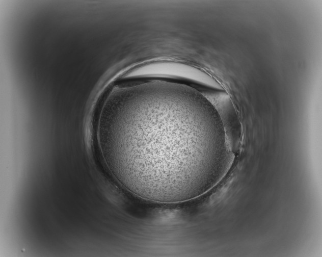 X0000099960247200805301319