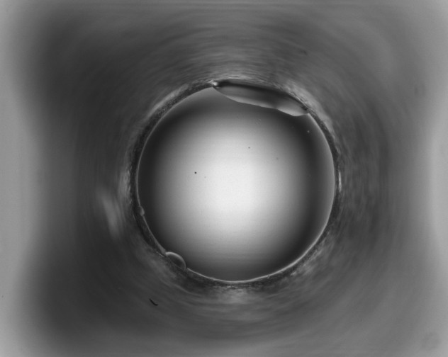 X0000099960249200805301319