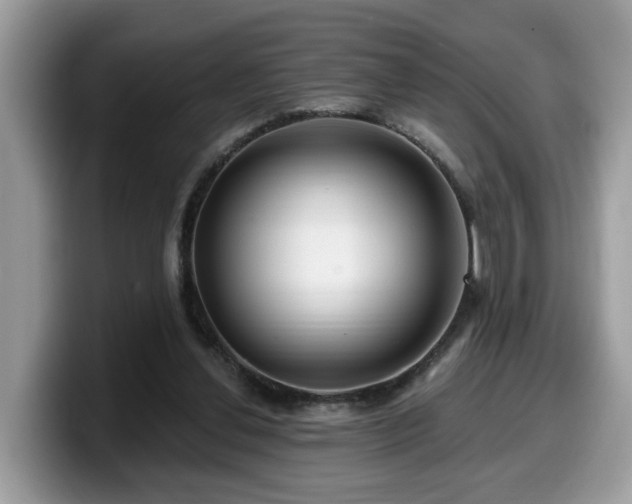 X0000099960252200805301319