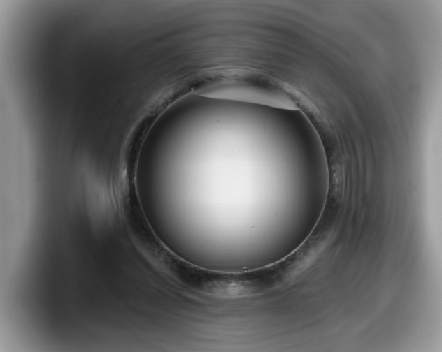 X0000099960254200805301320