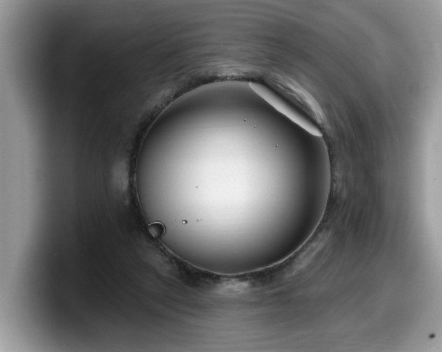 X0000099960257200805301320