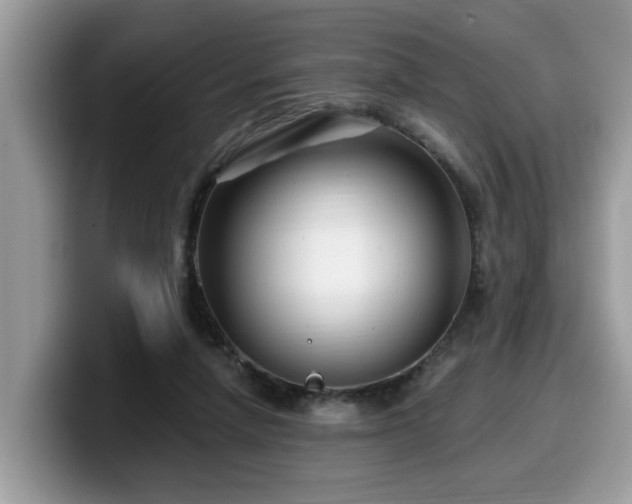 X0000099960258200805301320