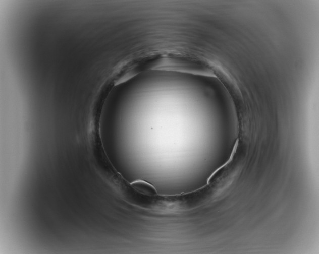 X0000099960260200805301320