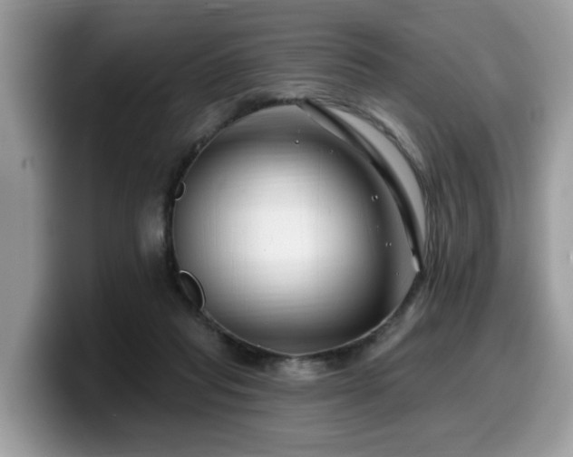 X0000099960261200805301320