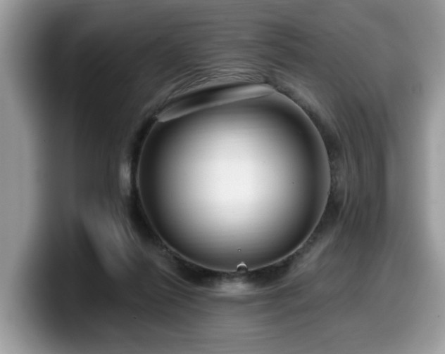 X0000099960262200805301320