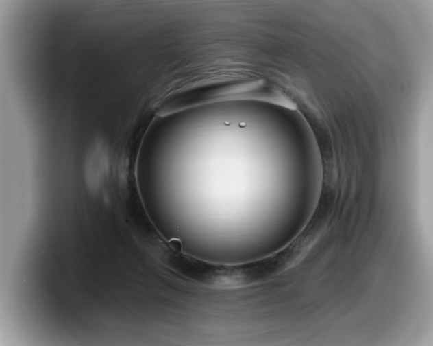 X0000099960263200805301320