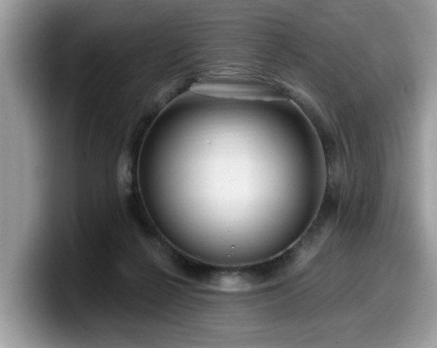 X0000099960264200805301320
