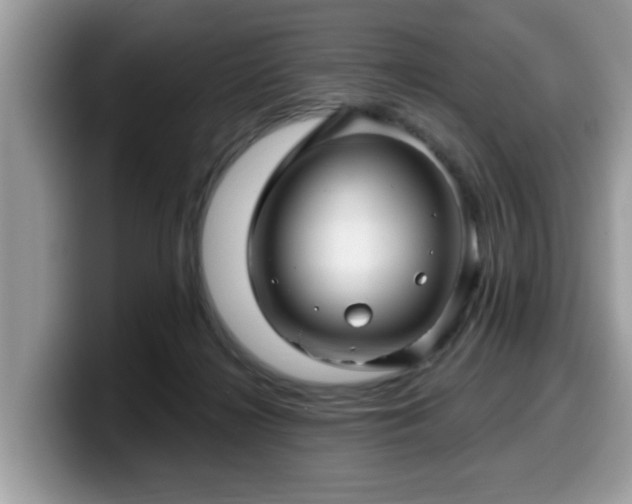 X0000099960268200805301320