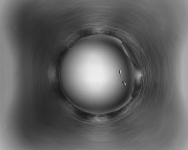 X0000099960270200805301320