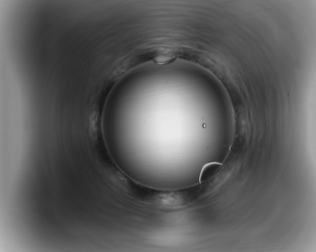 X0000099960275200805301320