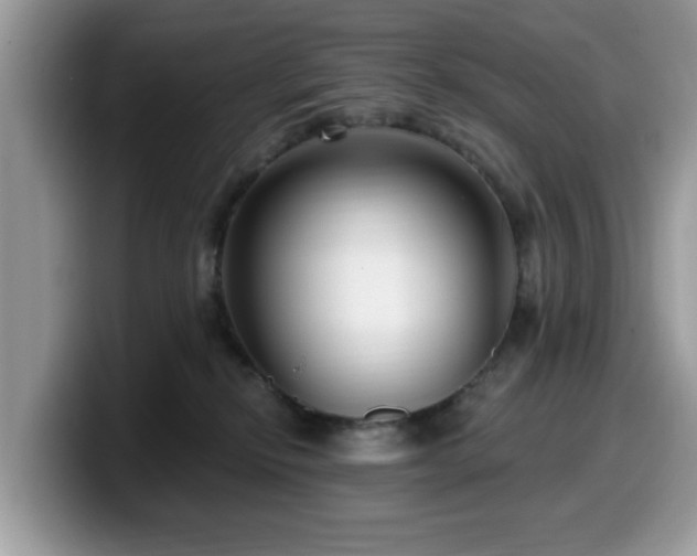 X0000099960278200805301320