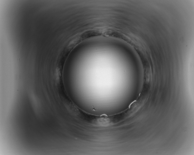 X0000099960279200805301320