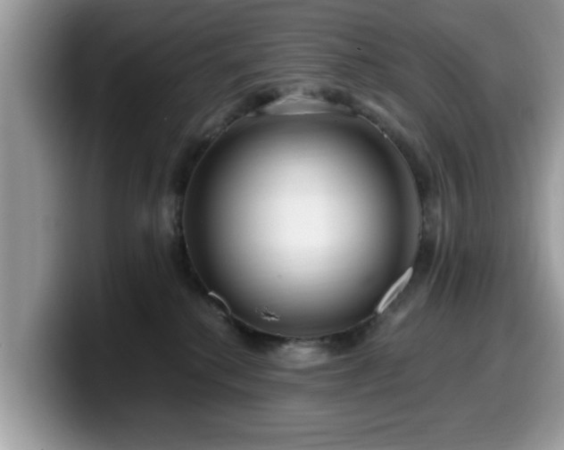 X0000099960280200805301320