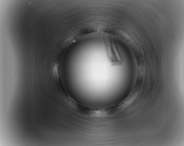 X0000099960286200805301320