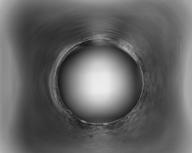 X0000099960289200805301319