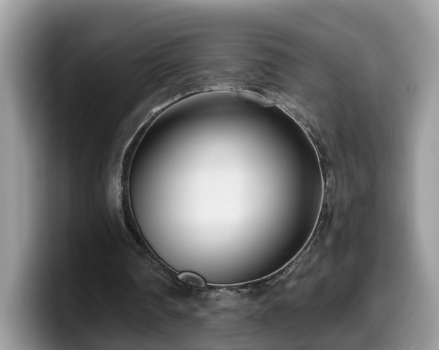 X0000099960290200805301319