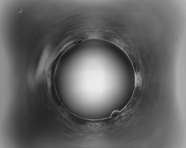 X0000099960291200805301319