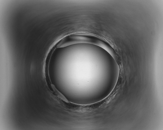 X0000099960292200805301319