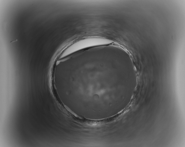 X0000099960293200805301319
