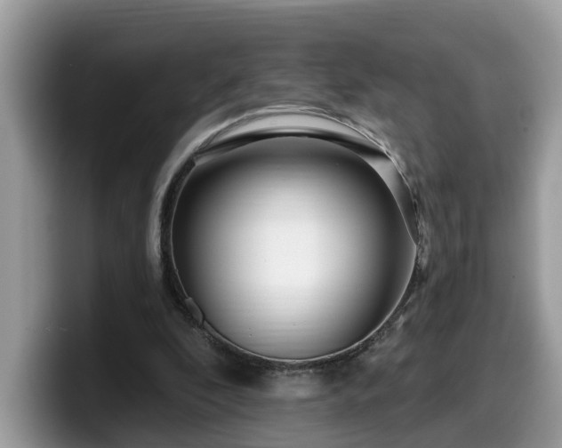 X0000099960296200805301319