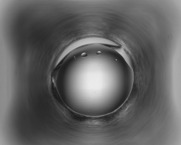 X0000099960299200805301319