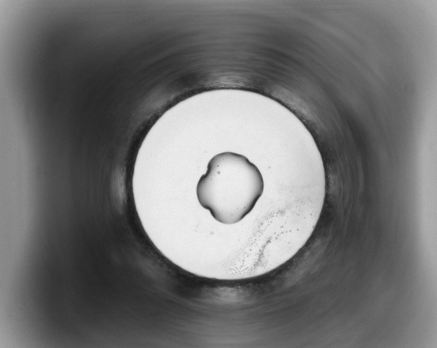X0000099960302200805301319