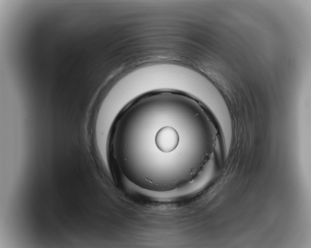 X0000099960304200805301319