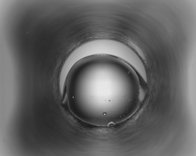 X0000099960305200805301319