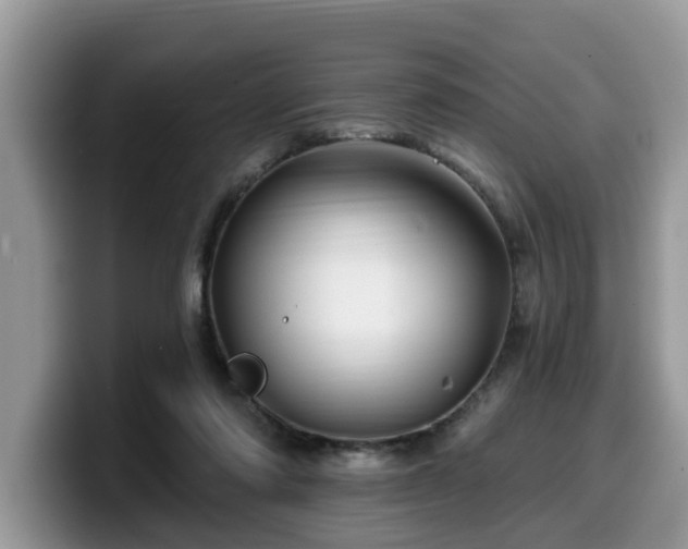 X0000099960310200805301319