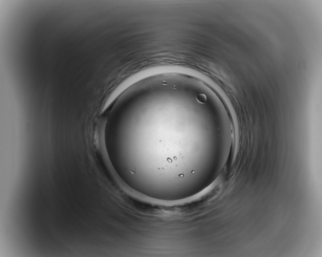 X0000099960317200805301319