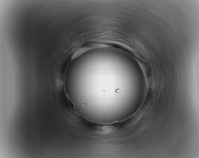 X0000099960324200805301319