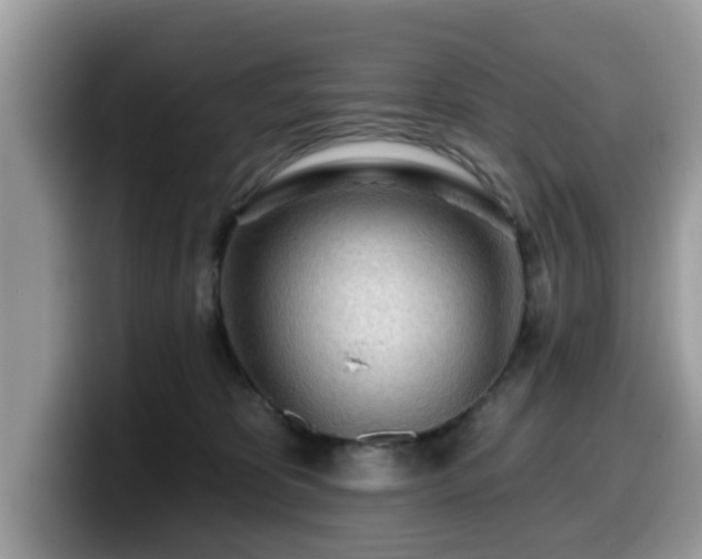X0000099960325200805301319