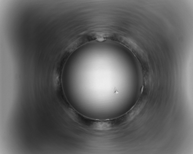 X0000099960327200805301319